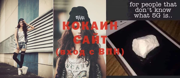 гашик Козельск