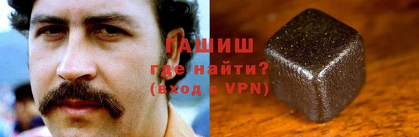 гашик Козельск