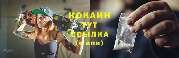 гашик Козельск