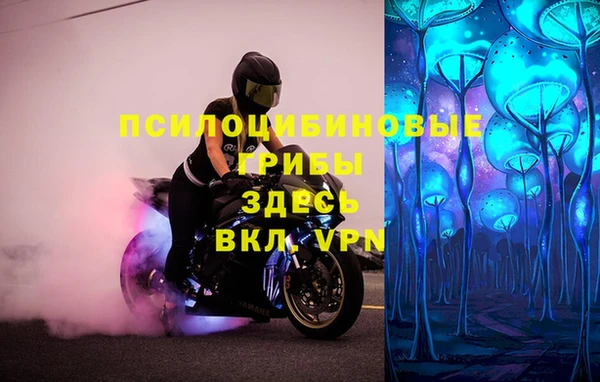 гашик Козельск