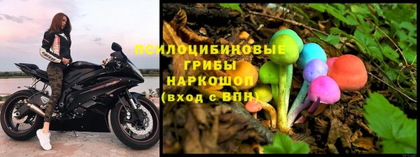 гашик Козельск